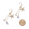 Starfish/Sea Stars 304 Stainless Steel Dangle Earring EJEW-TA00037-4