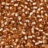 Silver Lined Glass Seed Beads SEED-T007-18A-12-3