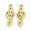 Ion Plating(IP) 304 Stainless Steel Pendants STAS-C003-13G-1