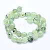 Natural Prehnite Beads Strands G-E483-71-2