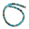 Dyed Natural Regalite/Imperial Jasper/Sea Sediment Jasper Beads Strands G-B124-C04-10-3