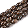 Natural Tibetan Agate 3-Eye Beads Strands G-T138-195A-4