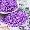 Baking Paint Glass Seed Beads SEED-S042-05A-23-1