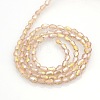 Electroplate Crystal Glass Teardrop Beads Strands EGLA-F076-A09-2