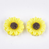 Resin Cabochons CRES-T010-60J-1