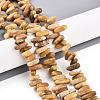 Natural Yellow Opal Beads Strands G-T140-61-1