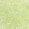 Transparent Colours Glass Seed Beads SEED-P007-02A-06-3