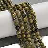 Natural Green Tourmaline Beads Strands G-B099-C05-02-2