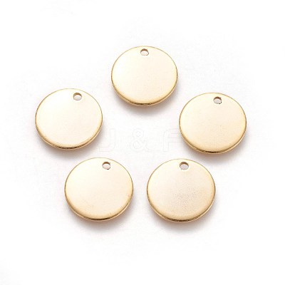 304 Stainless Steel Charms STAS-I098-06-1