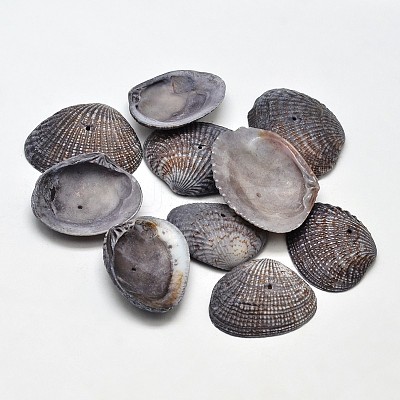 Dyed Natural Shell Beads BSHE-O007-54C-1