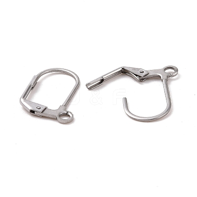 Tarnish Resistant 304 Stainless Steel Leverback Earring Findings STAS-E007-6-1