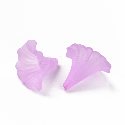 Transparent Acrylic Beads BSF796-C08-1