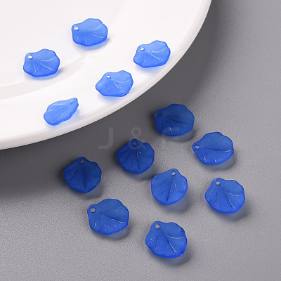 Transparent Frosted Acrylic Pendants MACR-S371-02A-751-1