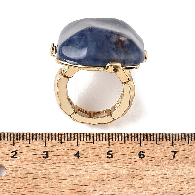 Natural Sodalite & Alloy Finger Rings for Women RJEW-G375-01G-07-1