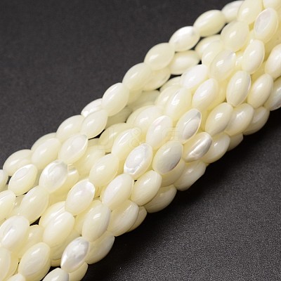 Natural Trochid Shell/Trochus Shell Beads Strands X-SSHEL-K008-06-1