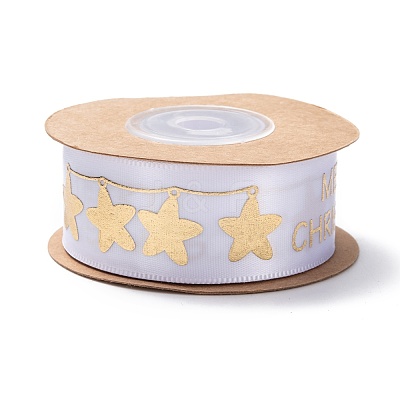 Polyester Ribbon SRIB-P018-B03-1