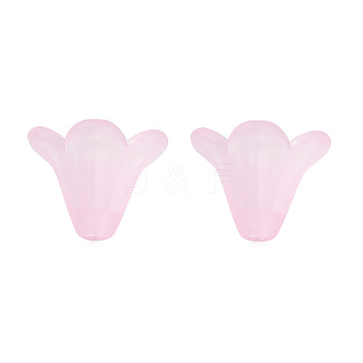 Frosted Acrylic Beads PL692-6-1