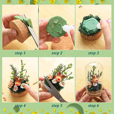 30Pcs Glass Dome Cloche Cover AJEW-BC0002-14A-1