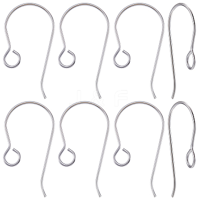 20Pcs Titanium Earring Hooks FIND-BBC0005-23-1
