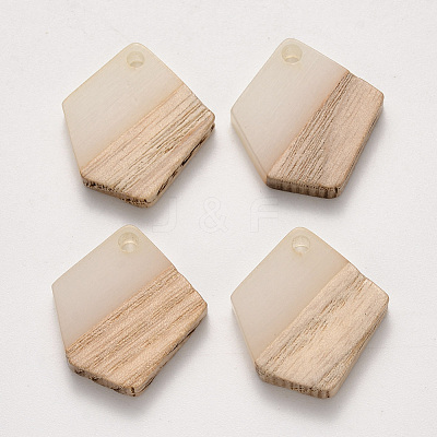 Transparent Resin & Wood Pendants X-RESI-S384-003A-C01-1