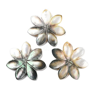 Natural Freshwater Shell Pendants SHEL-D082-08B-1