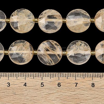 Coffee Watermelon Stone Glass Beads Strands G-A292-A04-01-1