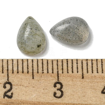Natural Labradorite Cabochons G-Q173-02B-07-1