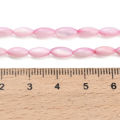 Natural Freshwater Shell Beads Strands SHEL-C010-01E-1