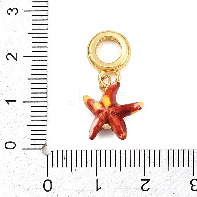 Brass Resin European Dangle Charms KK-CBA3642-01G-1
