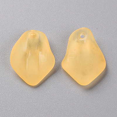 Transparent Frosted Acrylic Pendants MACR-S371-03A-719-1