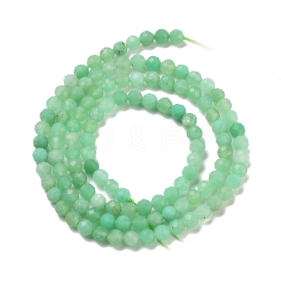 Natural Chrysoprase Beads Strands G-B088-C19-03-1