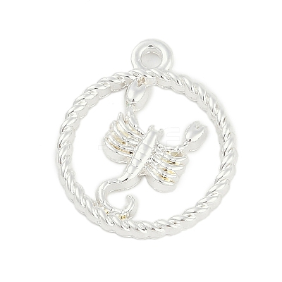 Twelve Constellations Alloy Pendants PALLOY-Q006-01L-S-1