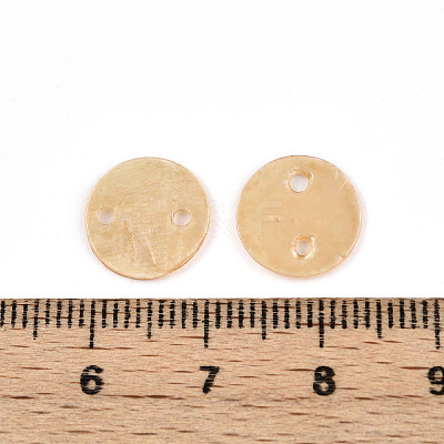 Spray Painted Natural Capiz Shell Connector Charms SSHEL-N039-03E-1