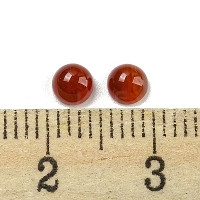 Natural Red Agate Cabochons G-H309-03-43-1