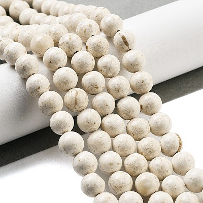 Natural Fossil Beads Strands G-H026-02C-1