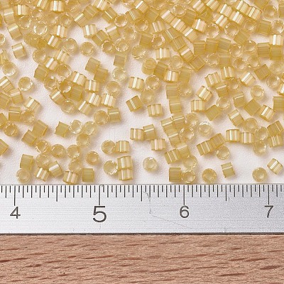 MIYUKI Delica Beads SEED-J020-DB1801-1