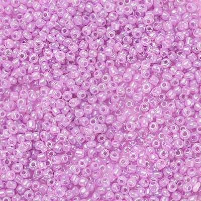 Glass Seed Beads SEED-XCP0001-03-1