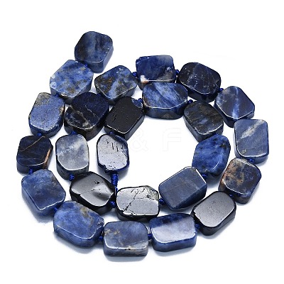 Natural Sodalite Beads Strands G-K245-J15-01-1