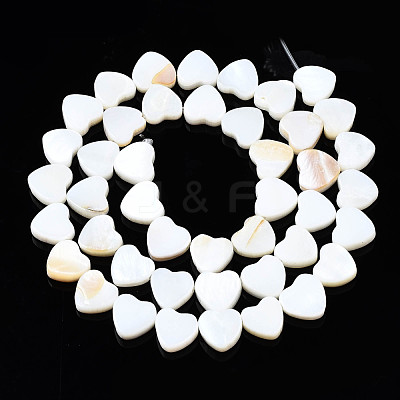 Natural Freshwater Shell Beads Strands SHEL-N026-152-1