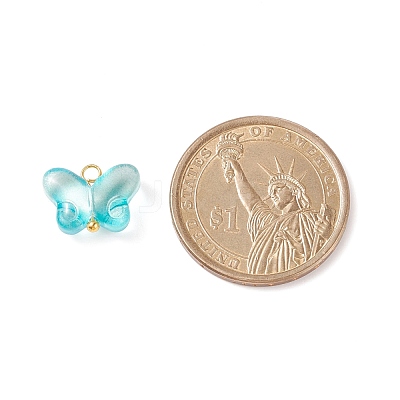 Transparent Glass Charms PALLOY-JF01734-1