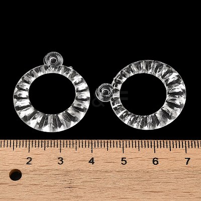 Transparent Acrylic Pendants TACR-G048-19-1