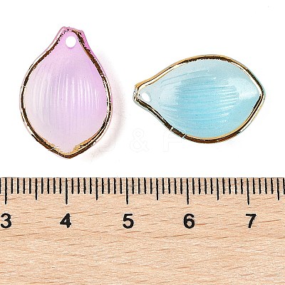 Gradient Color Transparent Acrylic Pendants TACR-F009-09-1