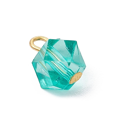 Transparent Acrylic with Iron Pendants PALLOY-JF03680-01-1