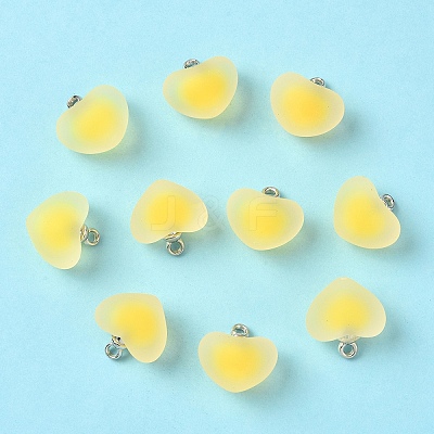 10Pcs Frosted Resin Pendants RESI-YW0004-45D-1