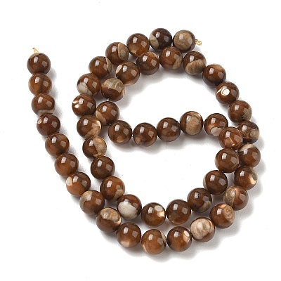 Natural Trochus Shell Beads Strands SH-CBAFEDD-02B-1