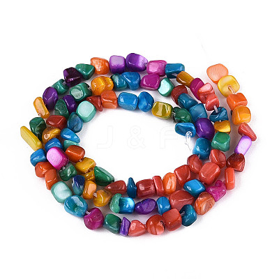 Natural Freshwater Shell Beads Strands SHEL-N038-06B-1