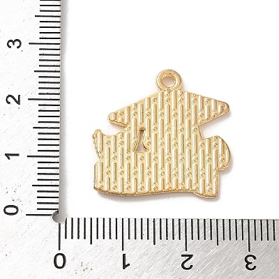 Graduation Season Alloy Enamel Pendants ENAM-R147-08C-G-1