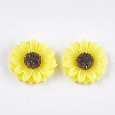 Resin Cabochons CRES-T010-60J-1