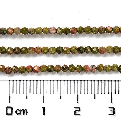 Natural Unakite Beads Strands G-Q002-B01-01-1