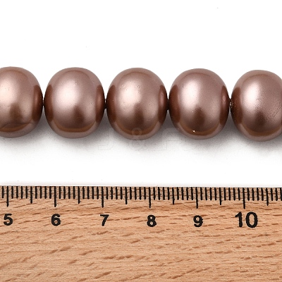 Shell Pearl Beads Strands BSHE-F013-01L-1